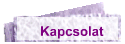 Kapcsolat