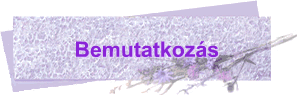Bemutatkoz�s